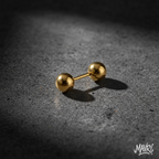 Orecchini a Sfera con Barra — Coppia (SIlver/Gold)